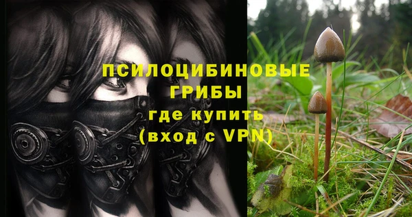 МДМА Арсеньев