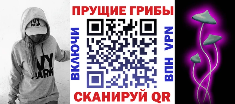 Псилоцибиновые грибы Psilocybe  цены   Абаза 